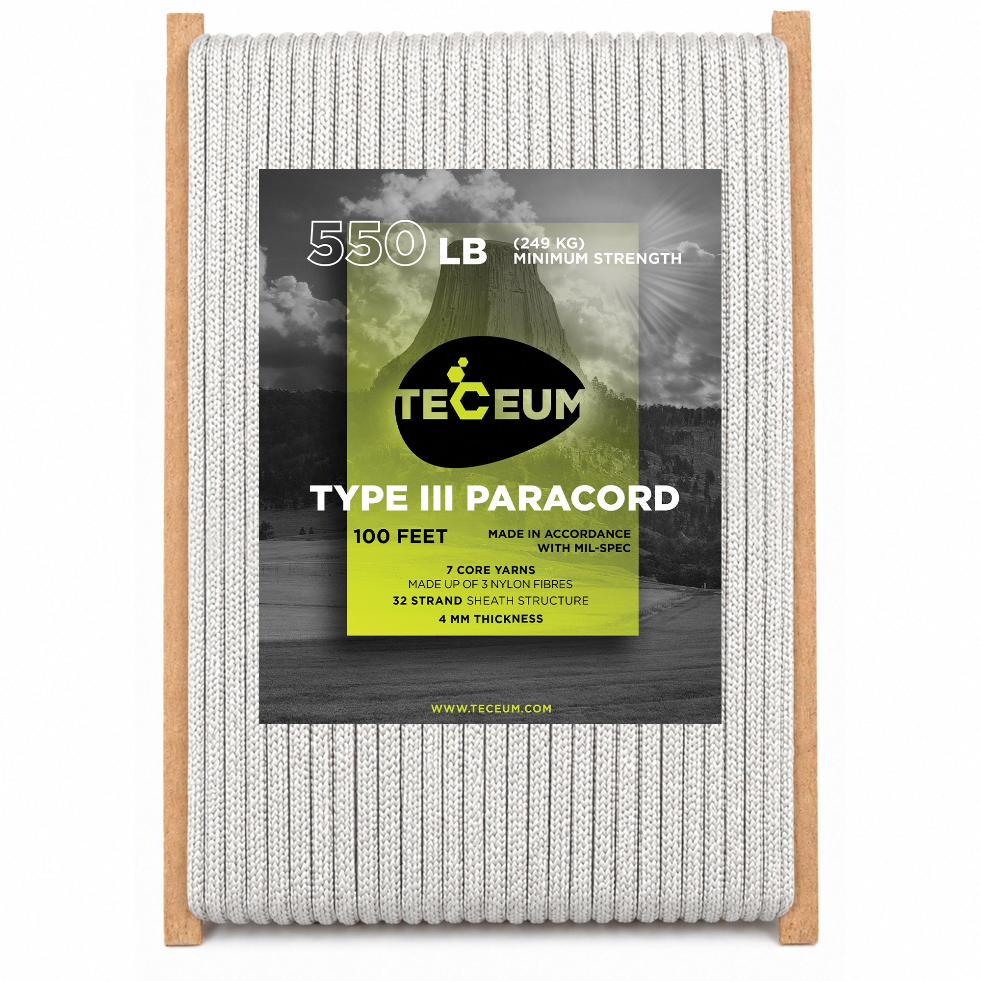 Paracord III 550 Silver Grey – 100 ft - image 1