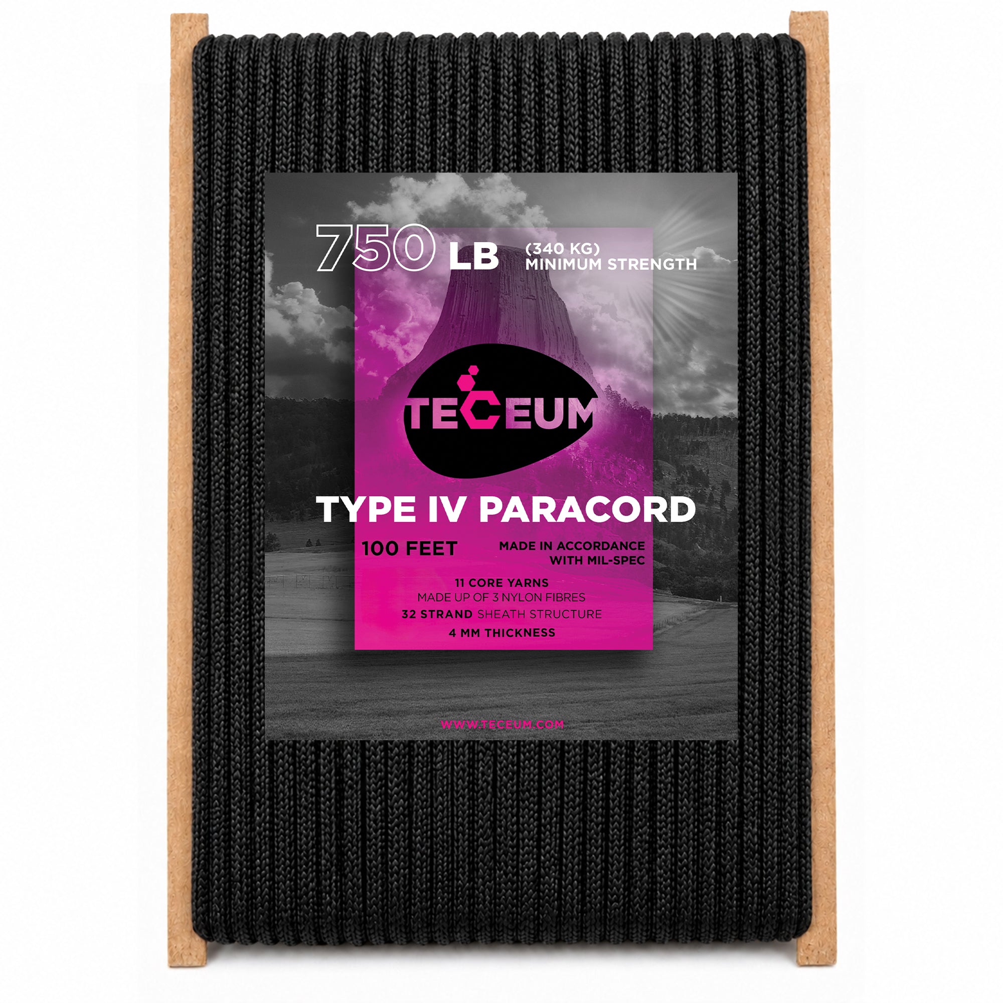 Paracord IV 750 Black – 100 ft - image 1