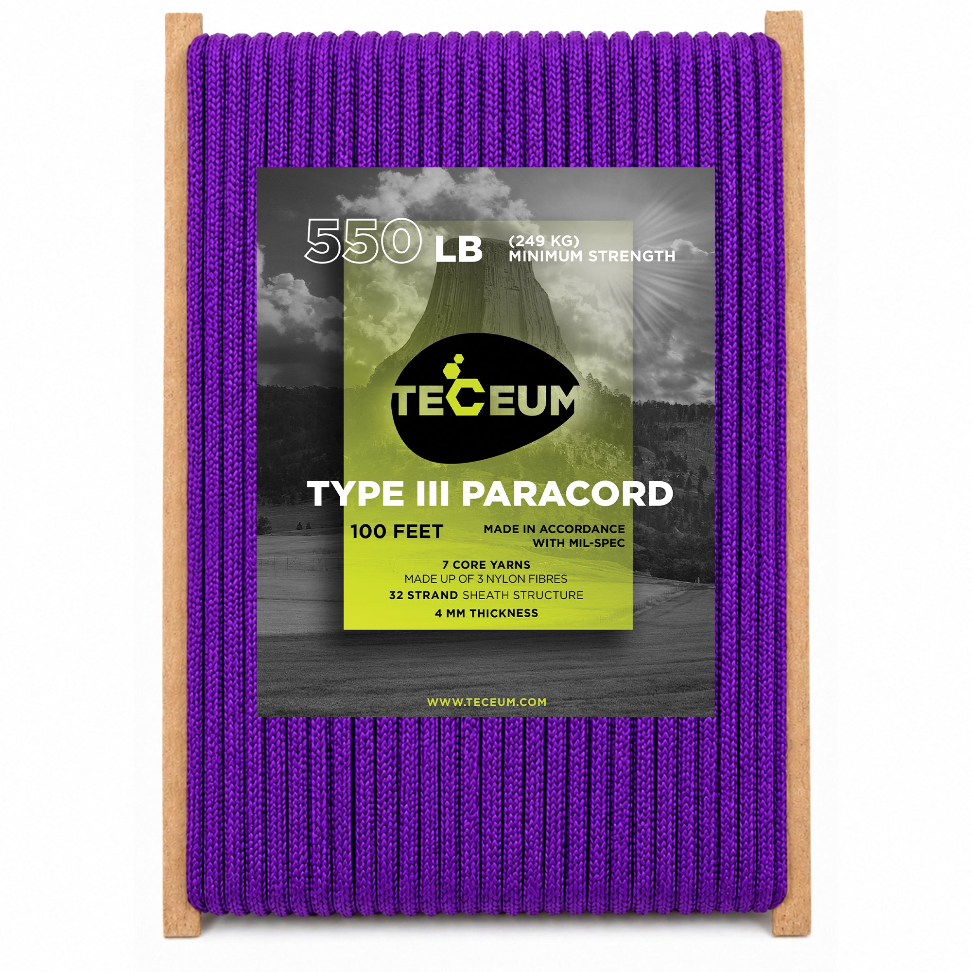Paracord III 550 Purple – 100 ft - image 1