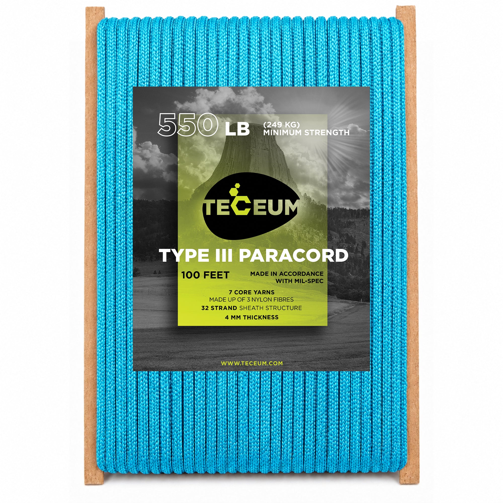 Paracord III 550 Ice Mint – 100 ft - image 1