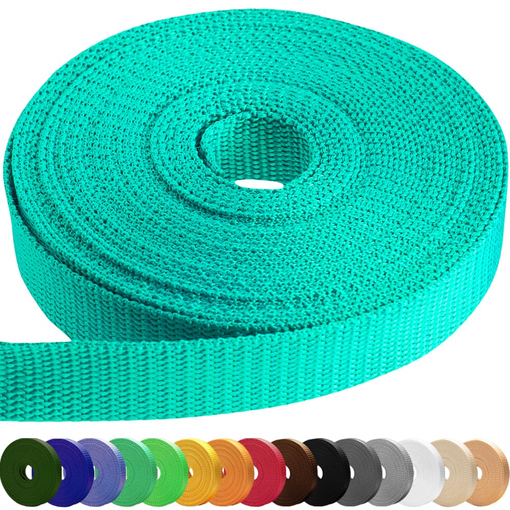 2" Inch Webbing – Turquoise – 25 Yards - image 1