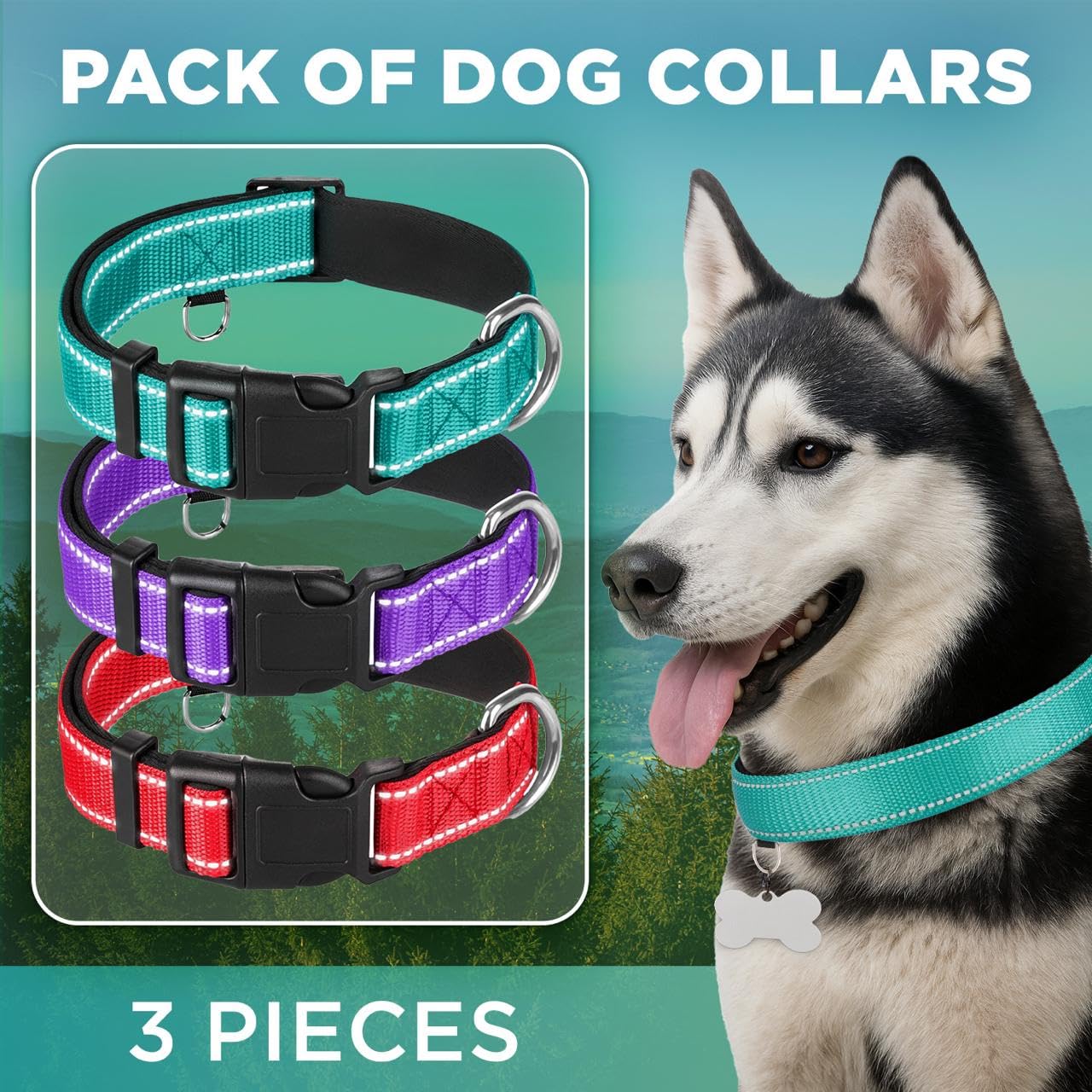 Reflective Dog Collar  - PACK M - Teal&Purple&Red - image 2