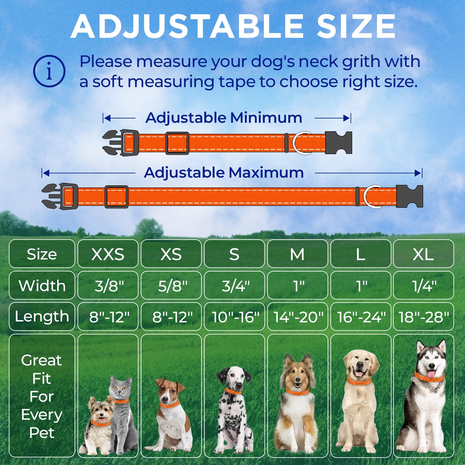 Reflective Dog Collar - 1" - M - Orange - image 7