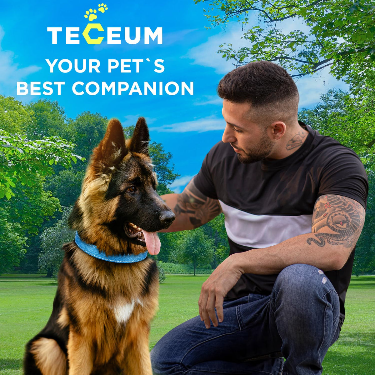 Reflective Dog Collar - 3/4" - S - Sky blue - image 9