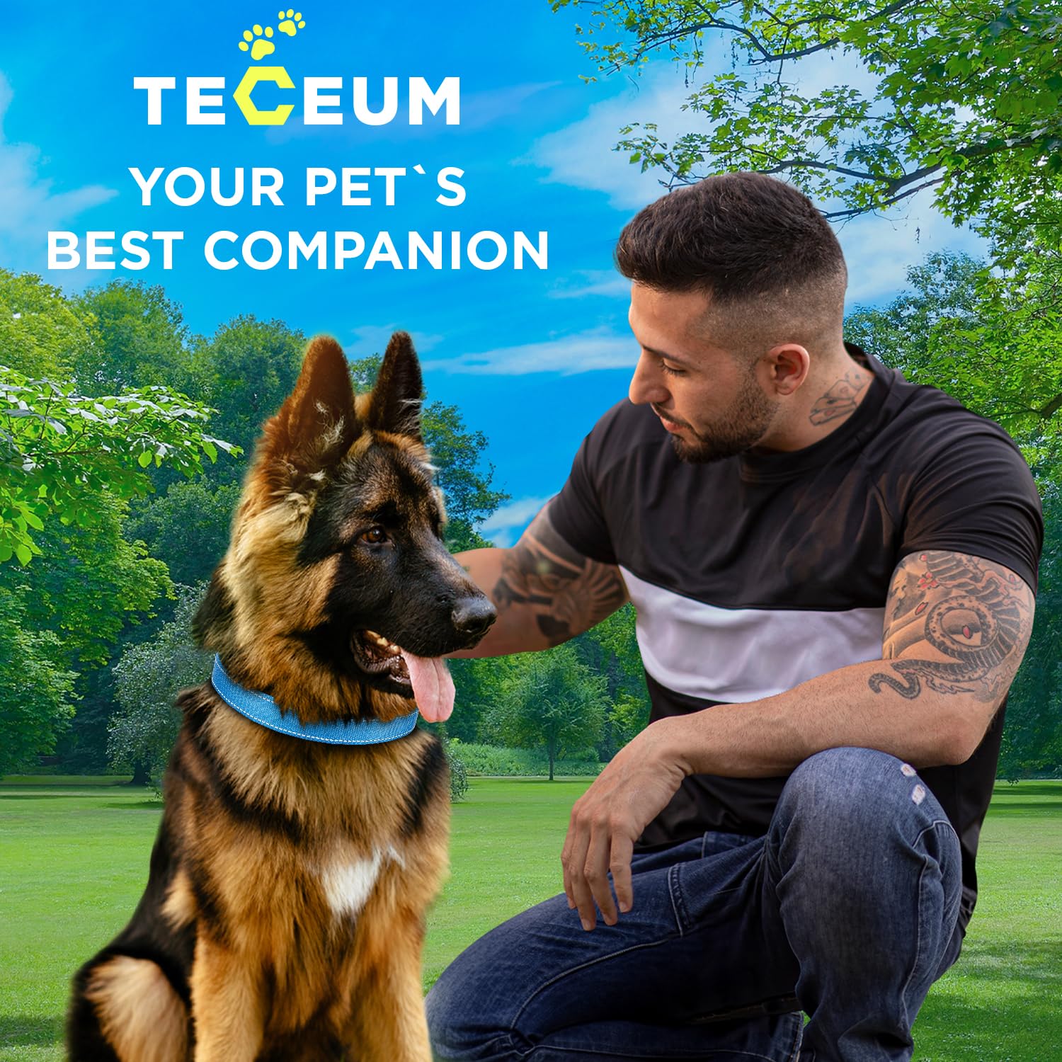 Reflective Dog Collar - 1  1/4" - XL - Sky blue - image 9