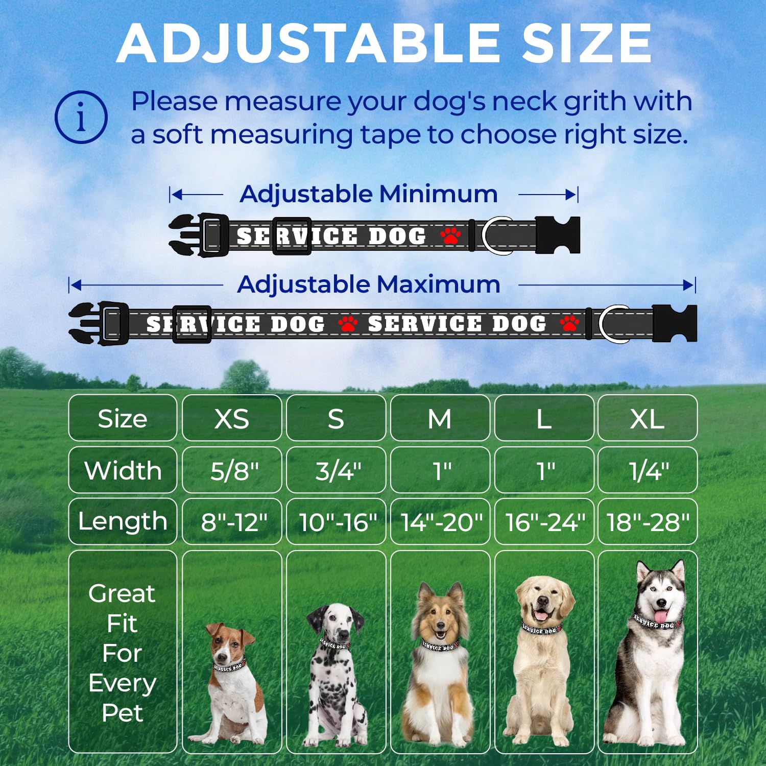 Reflective Dog Collar - 1" - M - Black - Service Dog - image 7