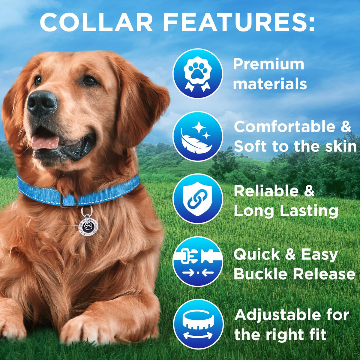 Reflective Dog Collar - 3/4" - S - Sky blue - image 3