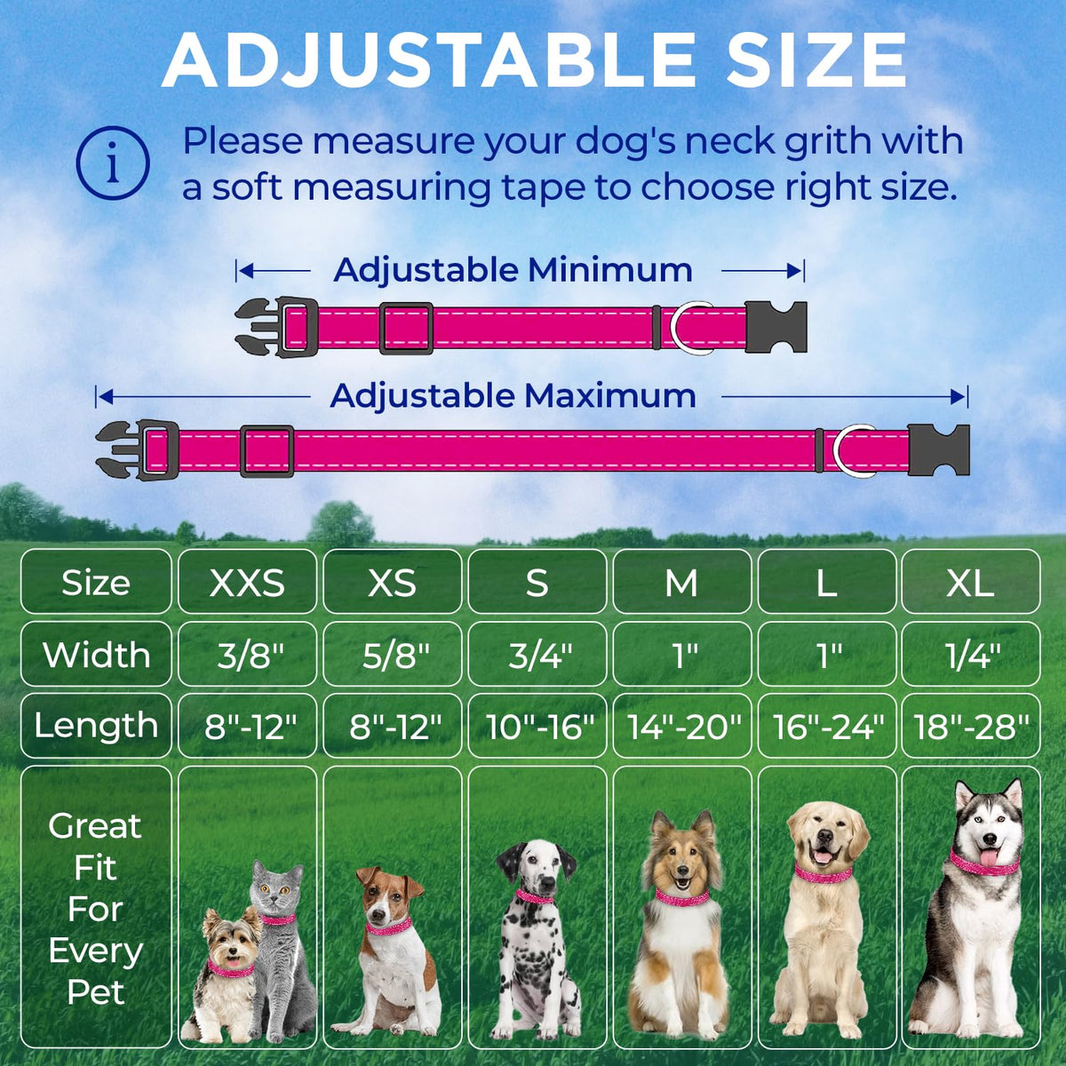 Reflective Dog Collar - 1" - L - Hot Pink - image 7