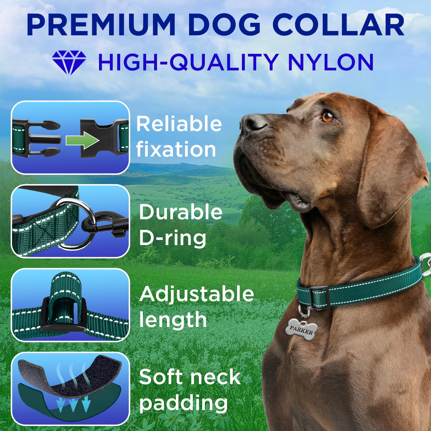 Reflective Dog Collar - 1  1/4" - XXS - Dark Emerald Green - image 2
