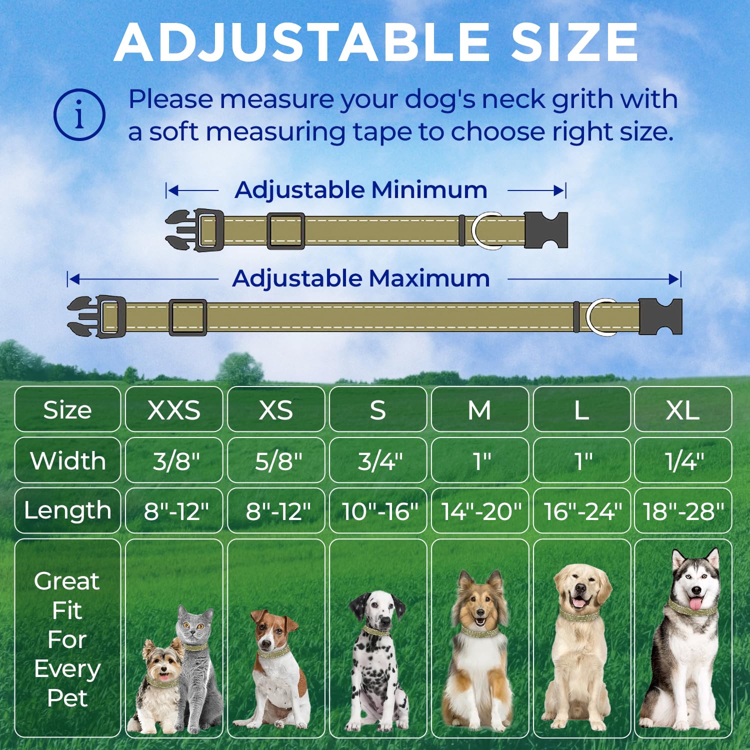 Reflective Dog Collar - 1" - M - Olive - image 7