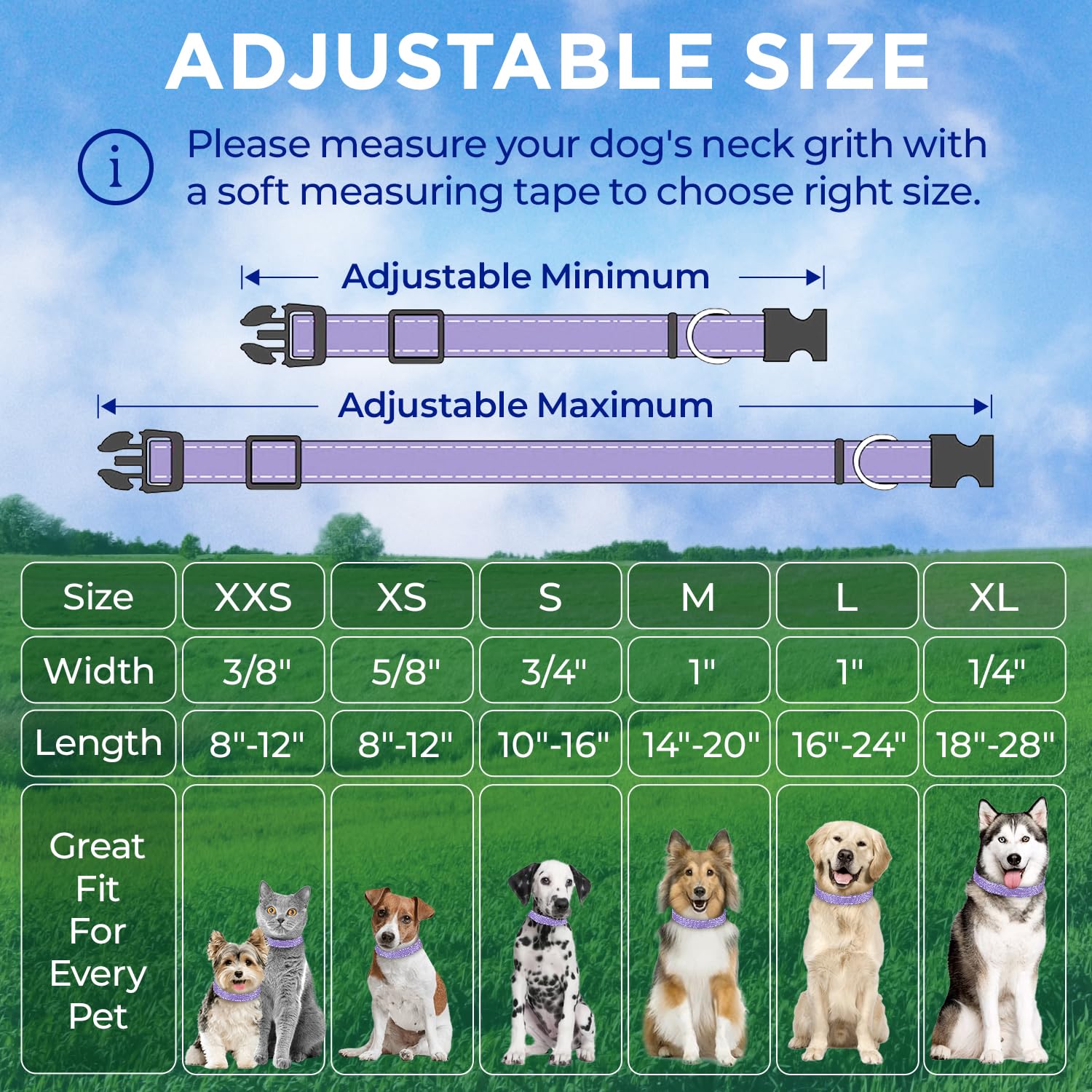 Reflective Dog Collar - 1  1/4" - M - Lavender - image 7
