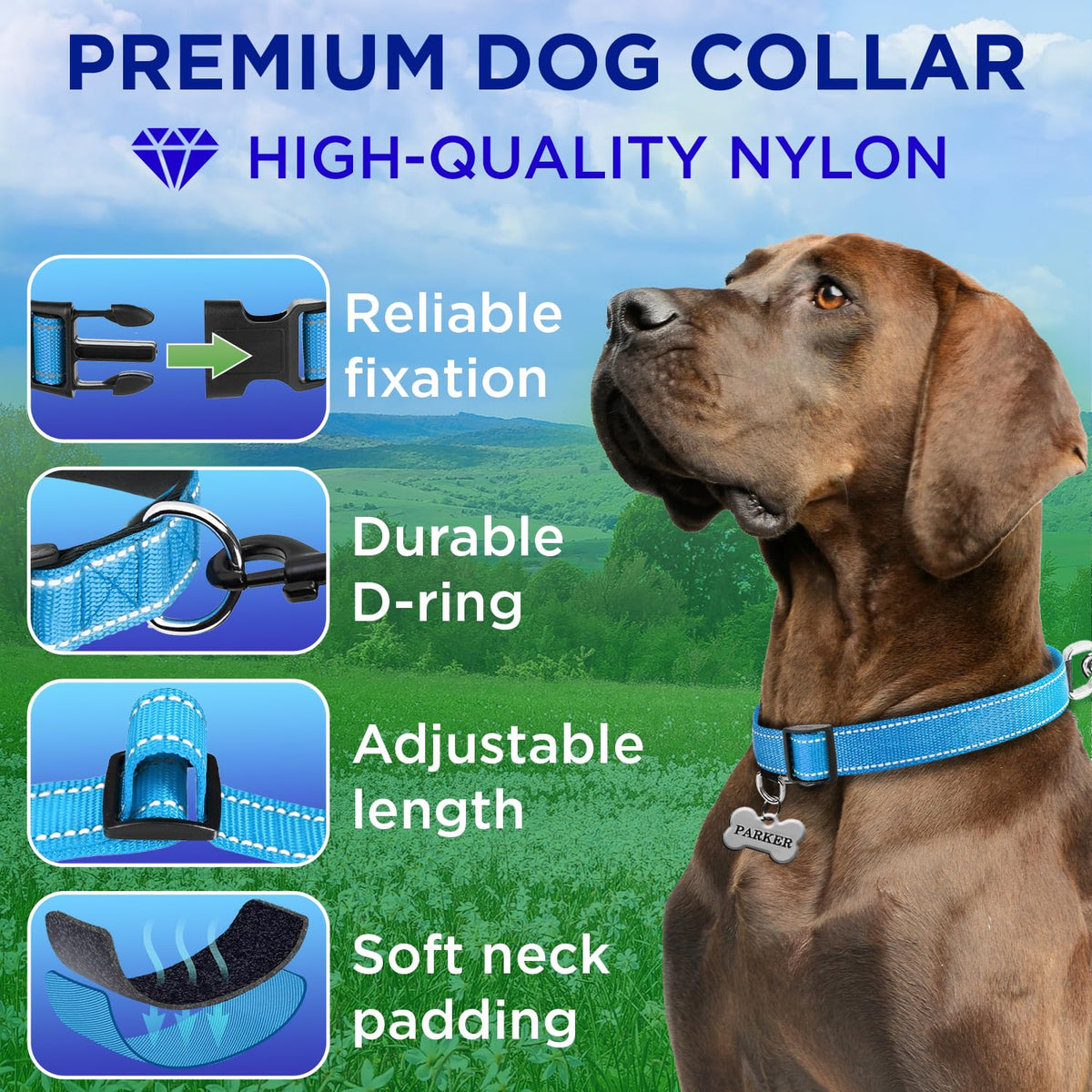 Reflective Dog Collar - 3/4" - S - Sky blue - image 2