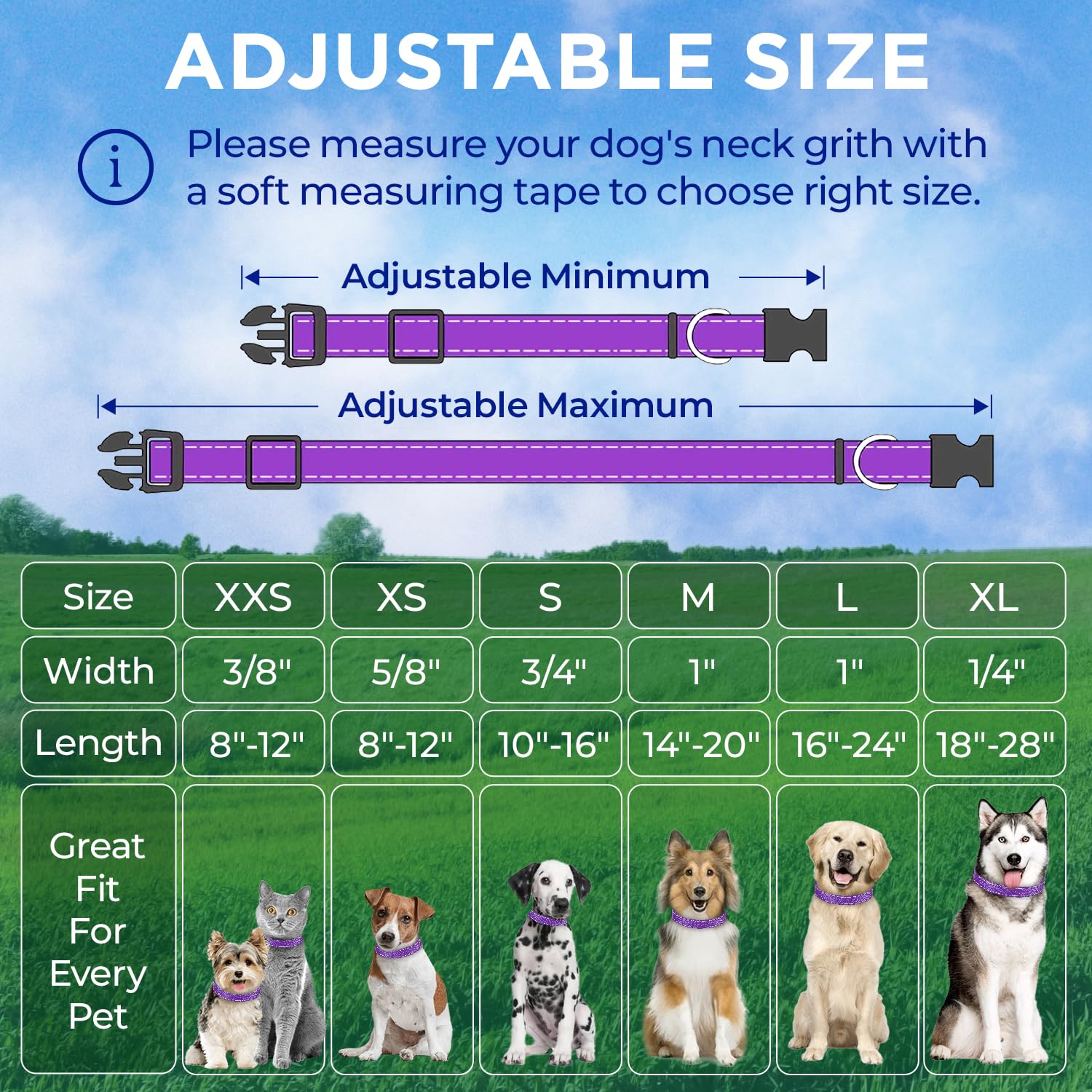 Reflective Dog Collar - 1  1/4" - XXS - Purple - image 7