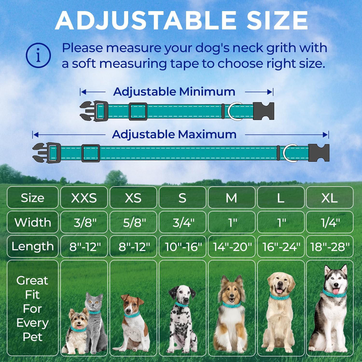 Reflective Dog Collar - 1" - M - Teal - image 7