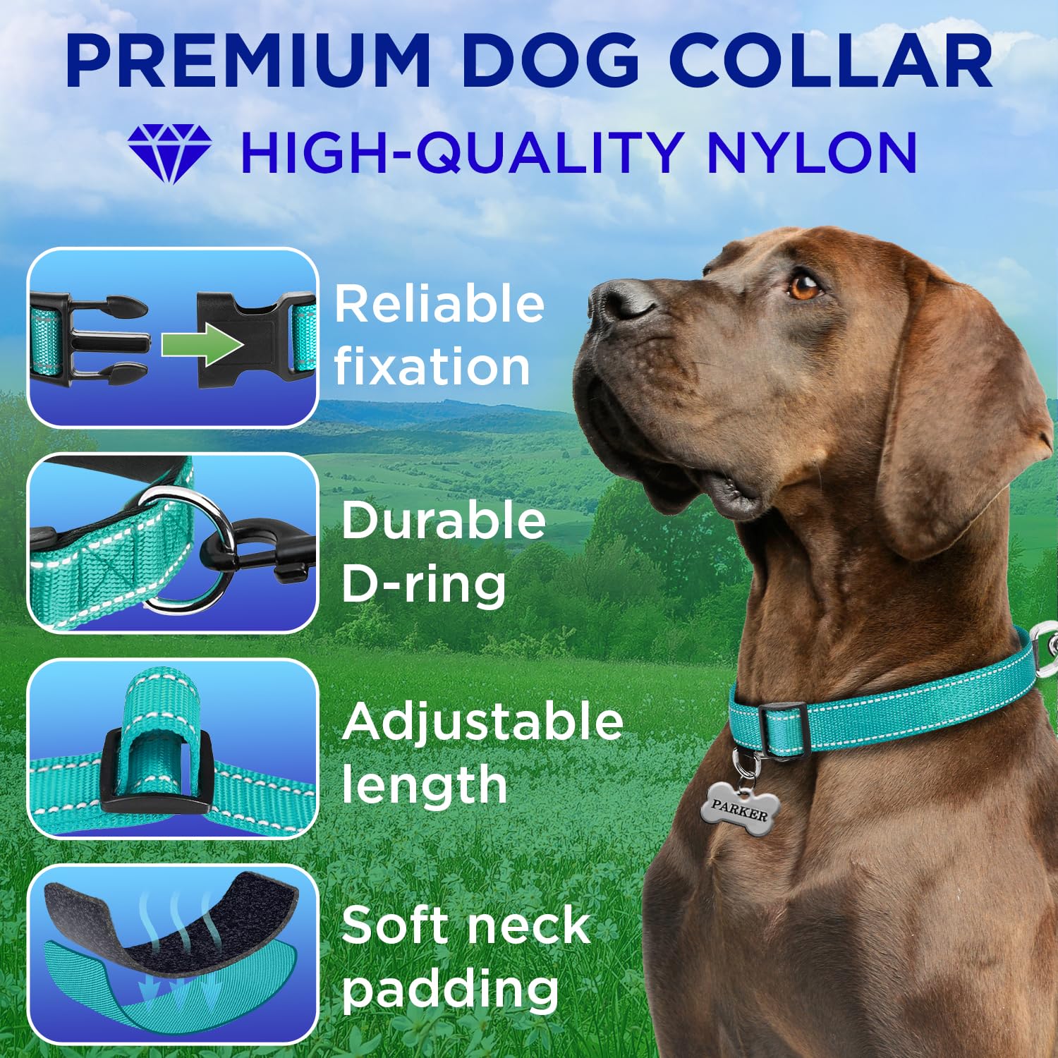 Reflective Dog Collar - 1" - M - Teal - image 2