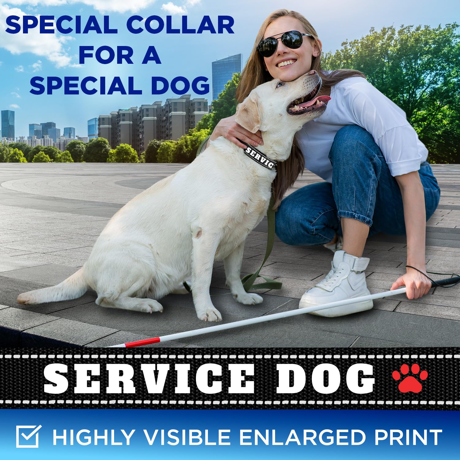 Reflective Dog Collar - 1" - M - Black - Service Dog - image 2