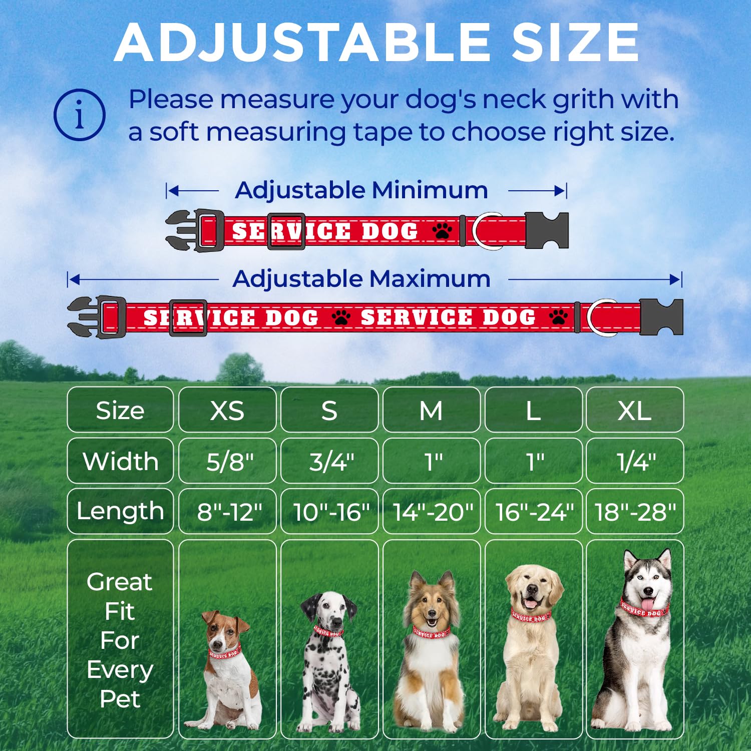 Reflective Dog Collar - 1" - M - Red - Service Dog - image 7