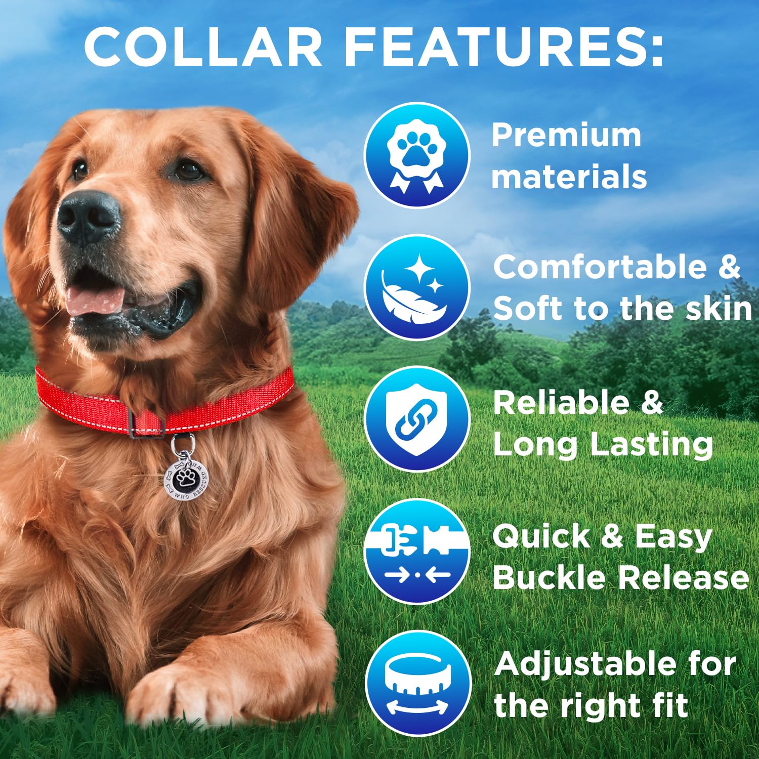 Reflective Dog Collar - 3/8" - XXS - Red - image 3