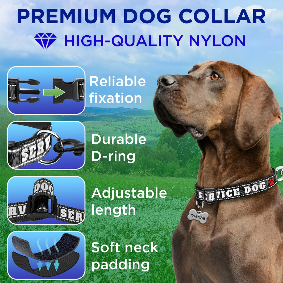 Reflective Dog Collar - 5/8" - XS - Black - Service Dog - image 3