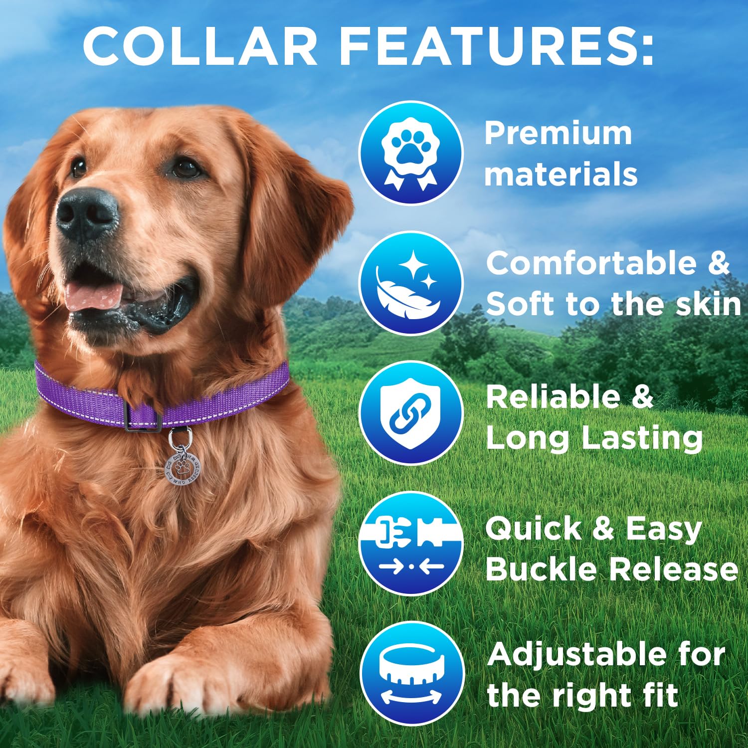 Reflective Dog Collar  - PACK M - Teal&Purple&Red - image 4
