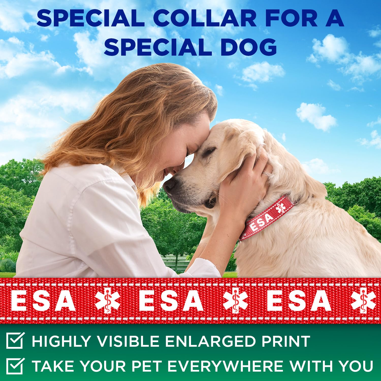 Reflective Dog Collar - 1" - L - Red - ESA - image 2