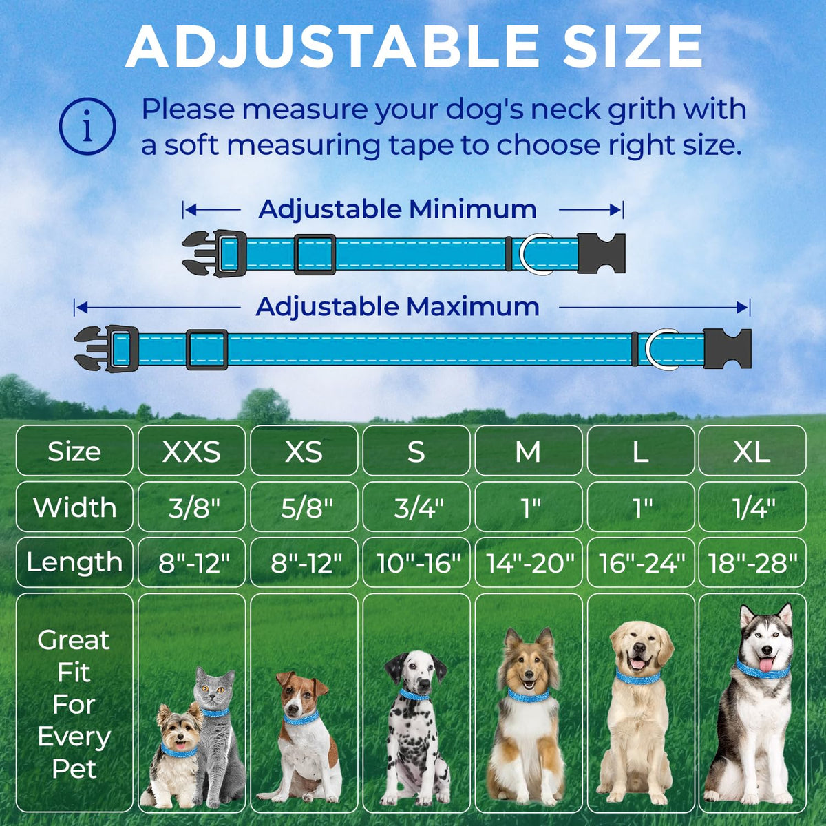 Reflective Dog Collar - 3/4" - S - Sky blue - image 7