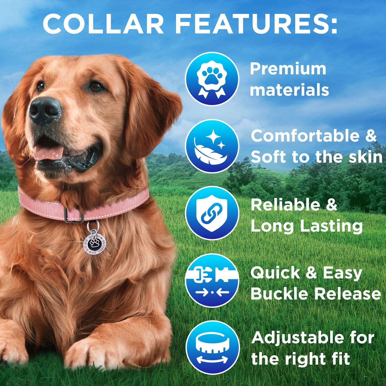 Reflective Dog Collar - 5/8" - XS - Pink - image 3