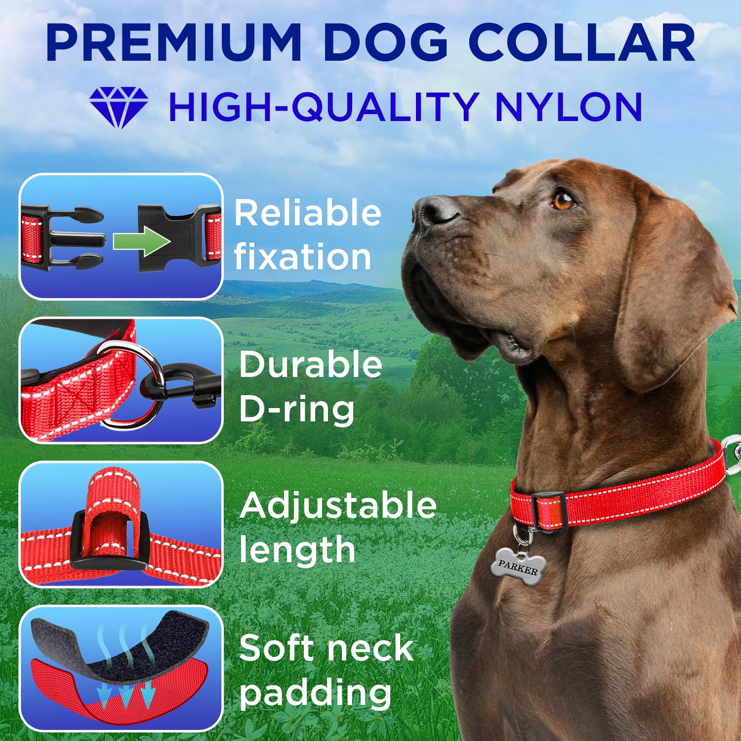 Reflective Dog Collar - 3/8" - XXS - Red - image 2