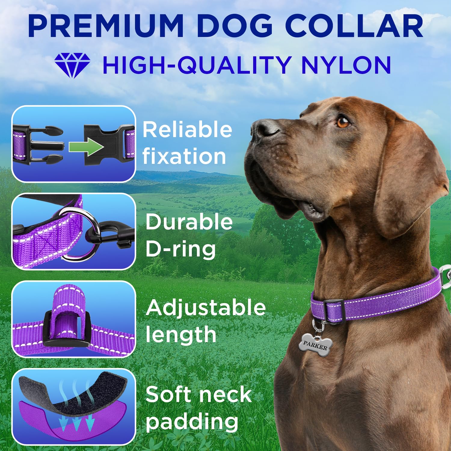 Reflective Dog Collar - 3/4" - S - Purple - image 2