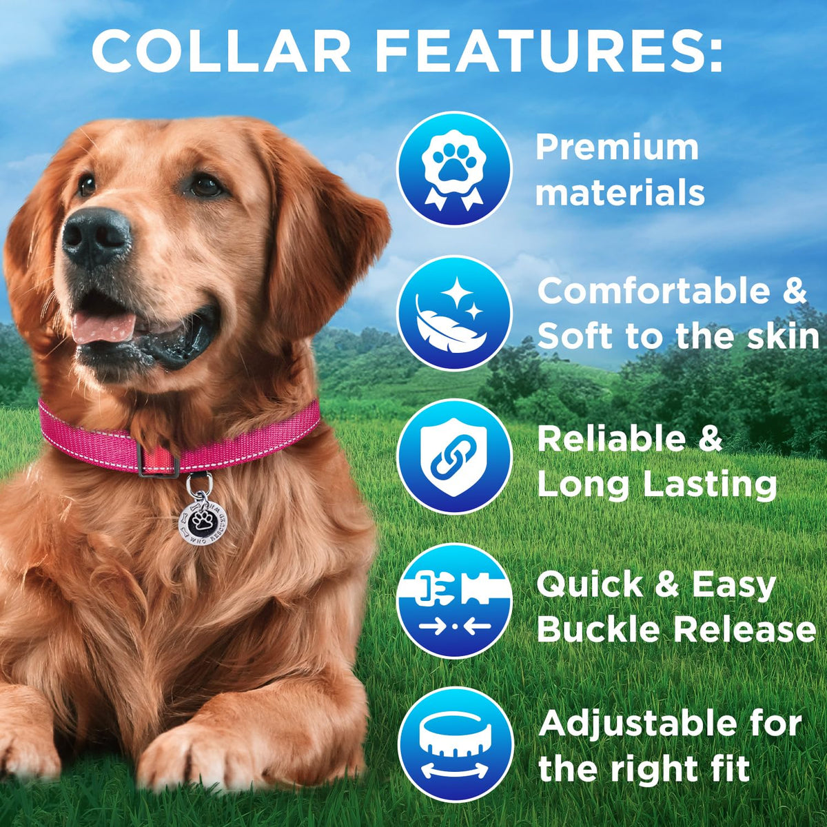 Reflective Dog Collar - 1" - L - Hot Pink - image 3