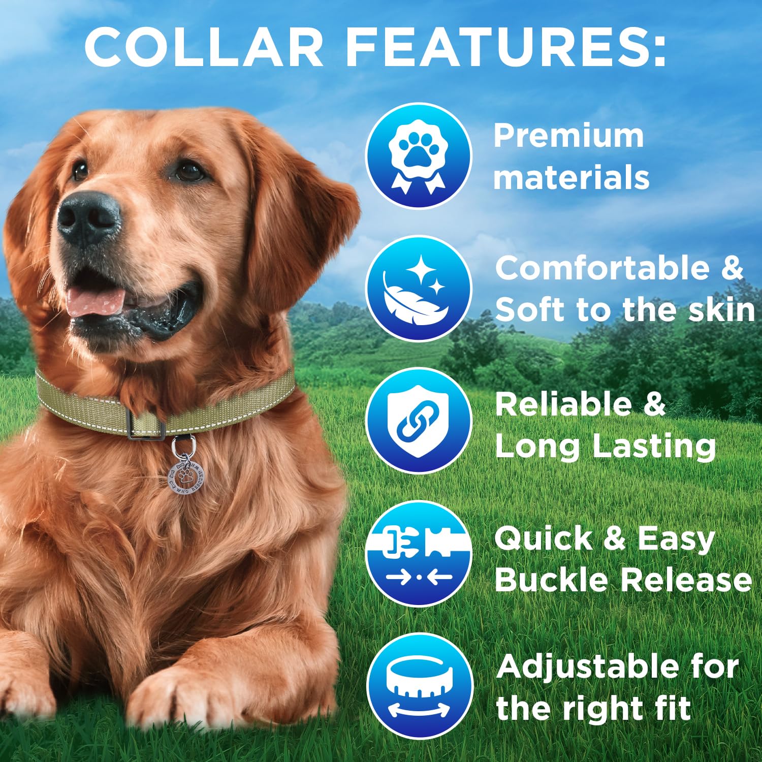 Reflective Dog Collar - 1" - M - Olive - image 3