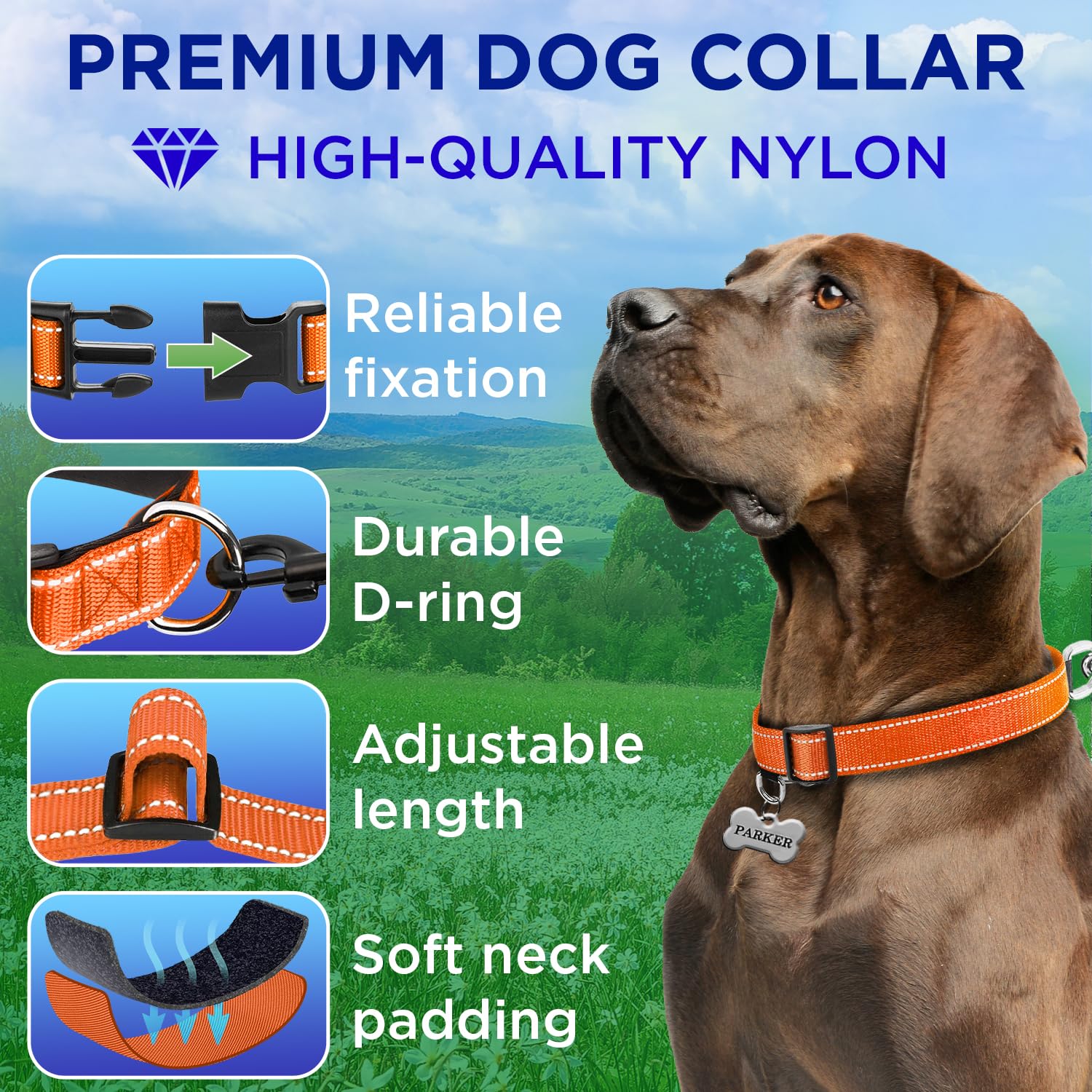 Reflective Dog Collar - 1" - L - Orange - image 2