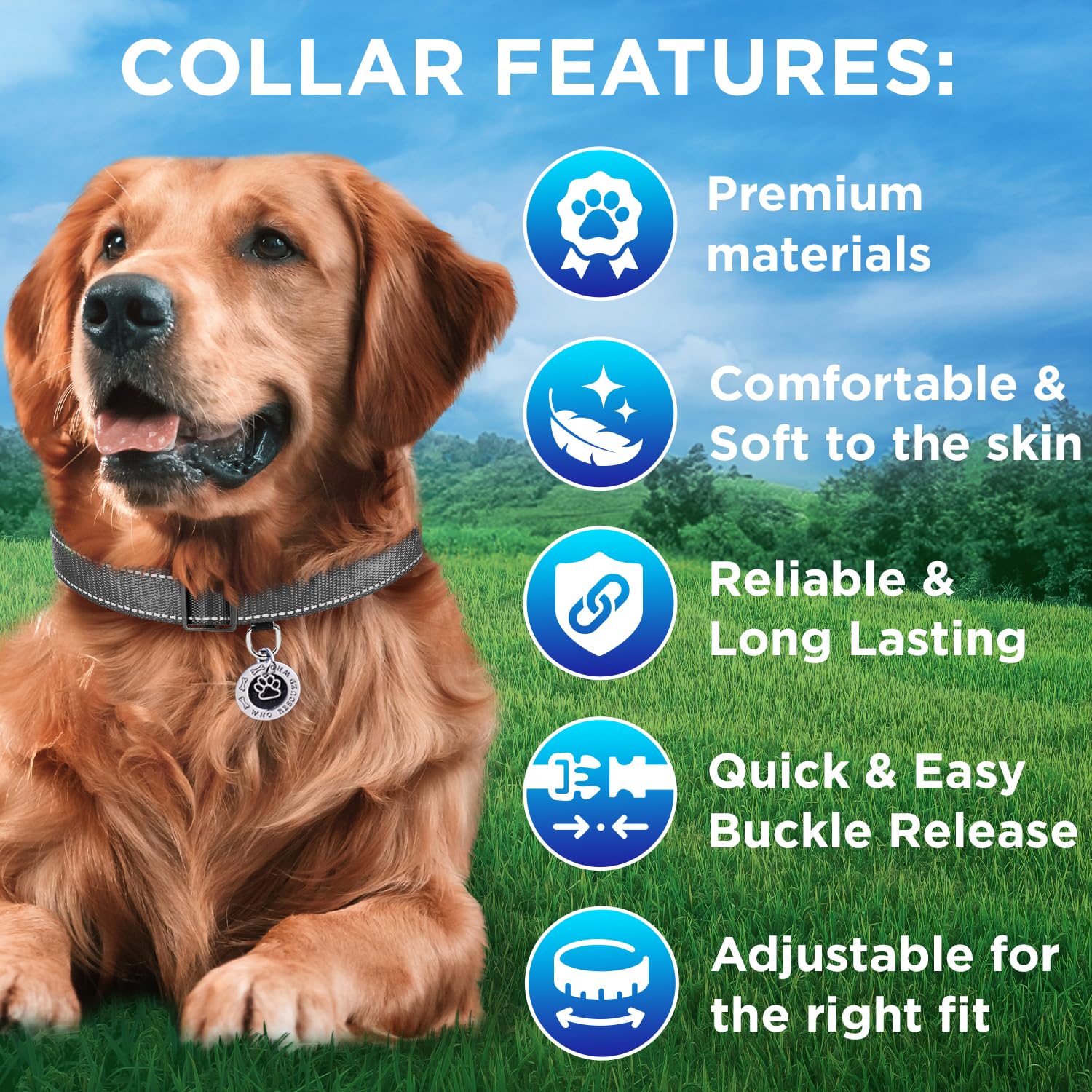 Reflective Dog Collar - 5/8" - XS - Gray - image 3