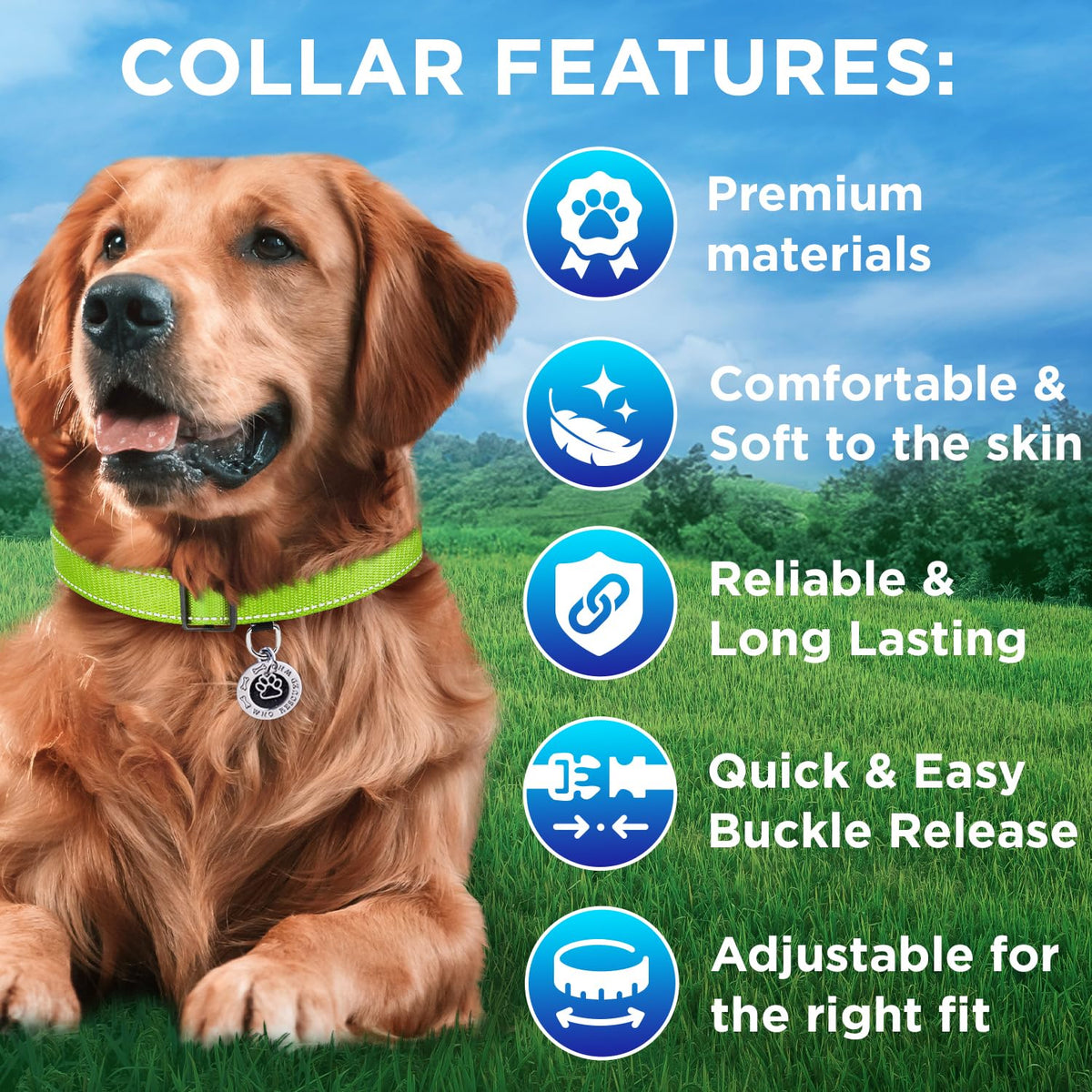Reflective Dog Collar - 3/8" - XXS - Acid Green - image 3