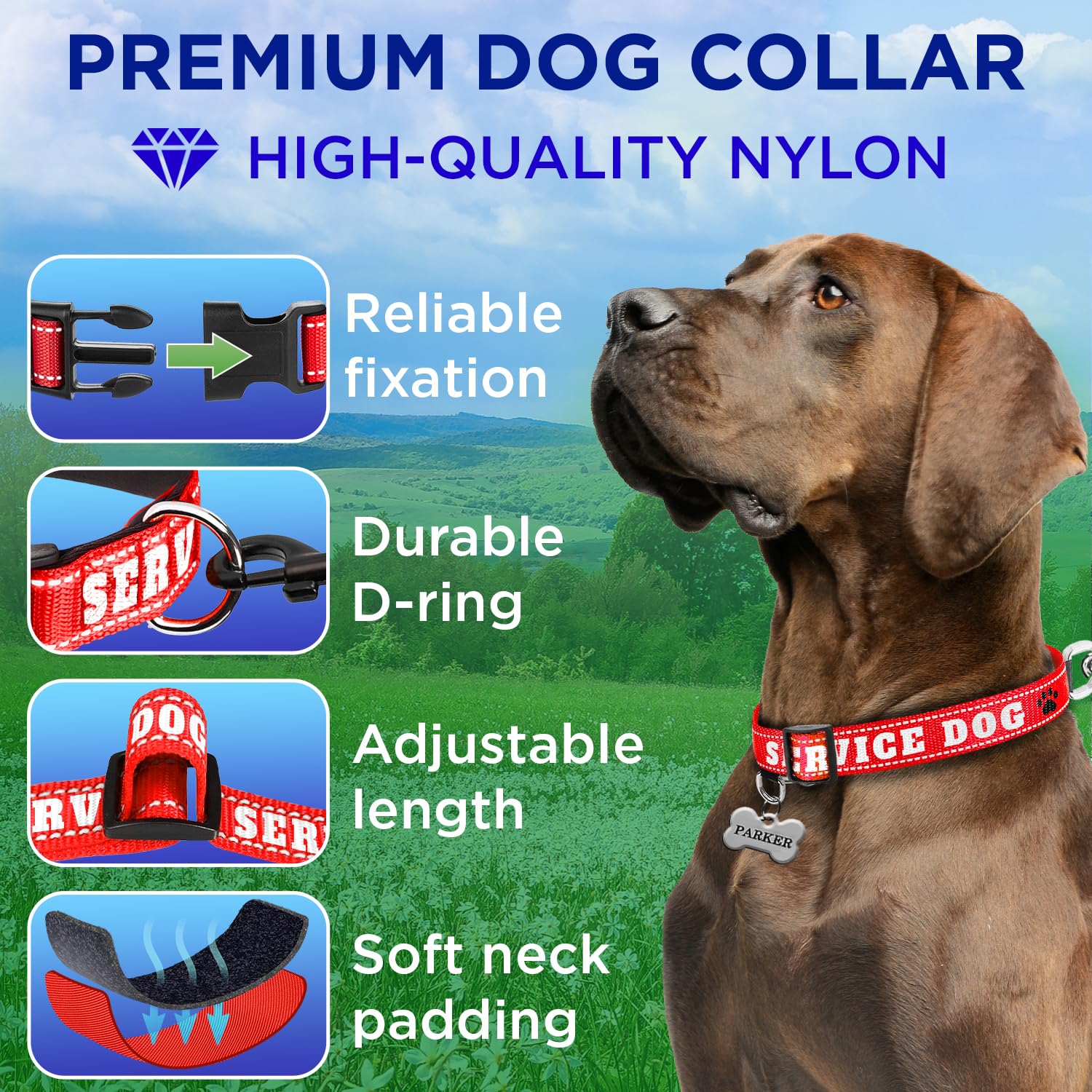 Reflective Dog Collar - 1" - L - Red - Service Dog - image 2