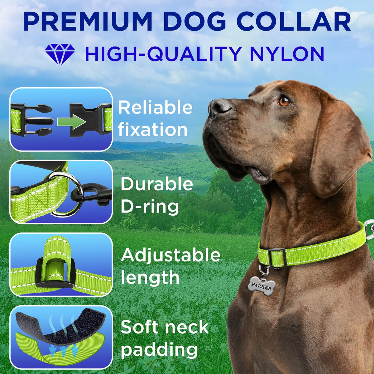 Reflective Dog Collar - 3/8" - XXS - Acid Green - image 2