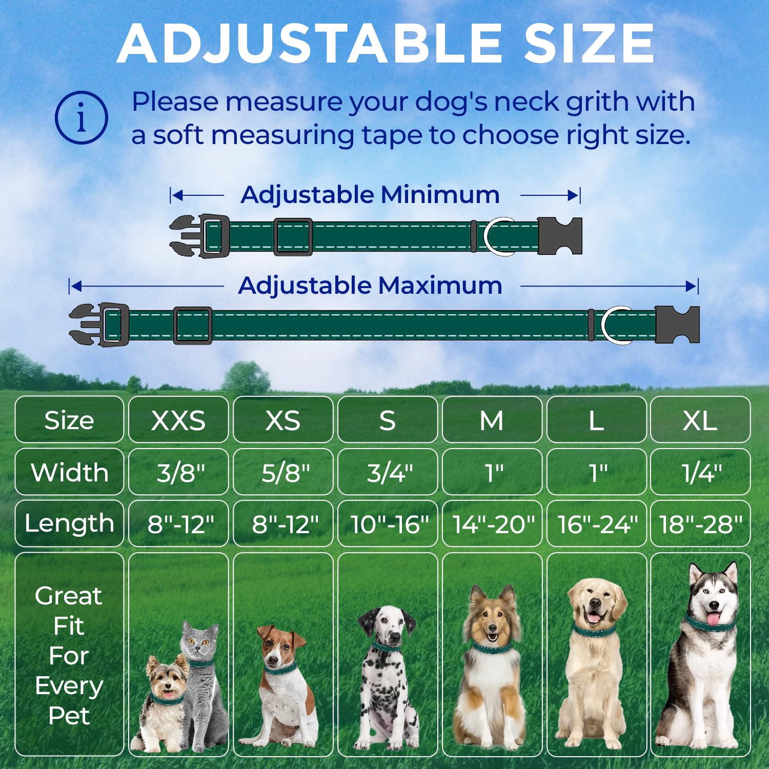 Reflective Dog Collar - 1" - L - Dark Emerald Green - image 7