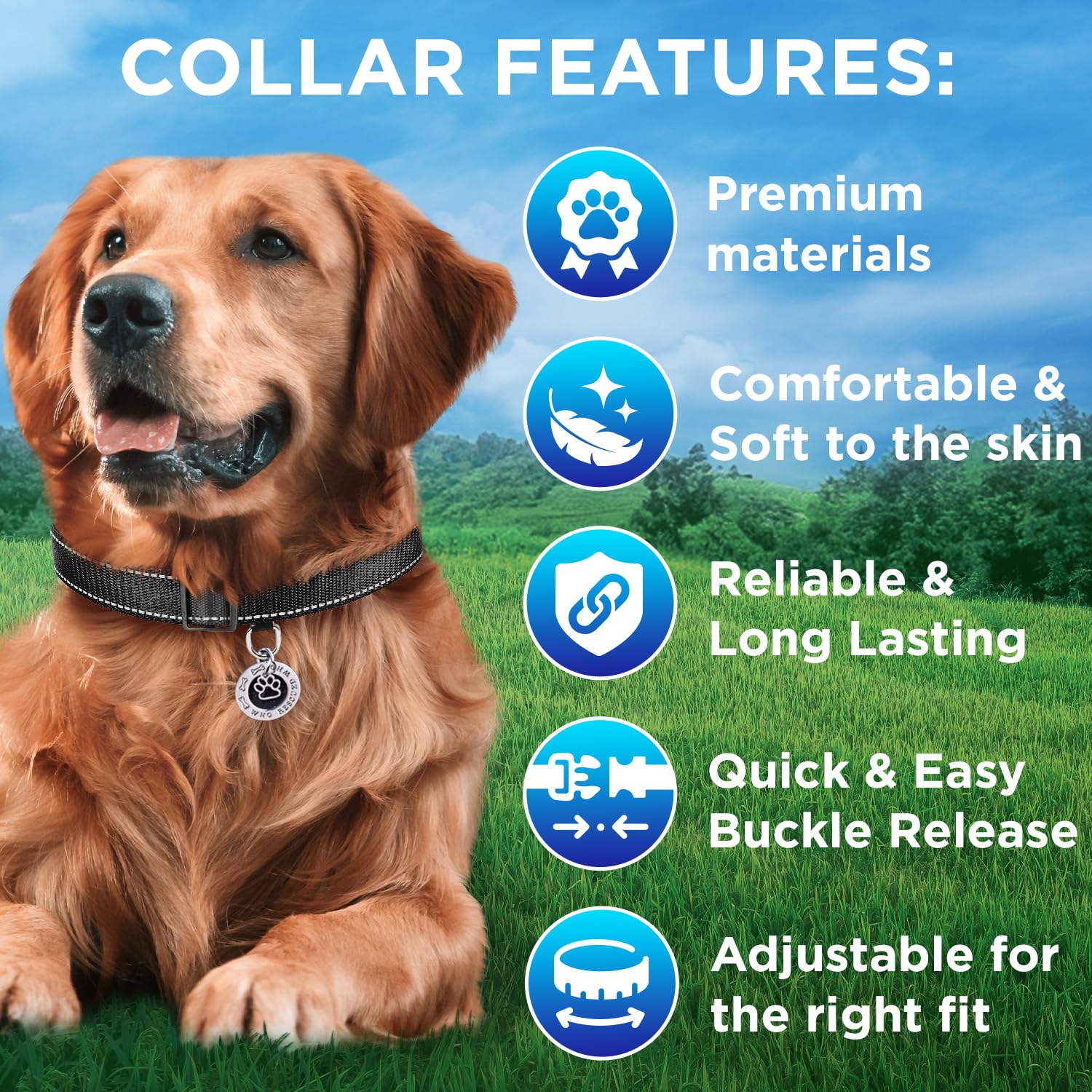 Reflective Dog Collar - 1  1/4" - S - Black - image 3