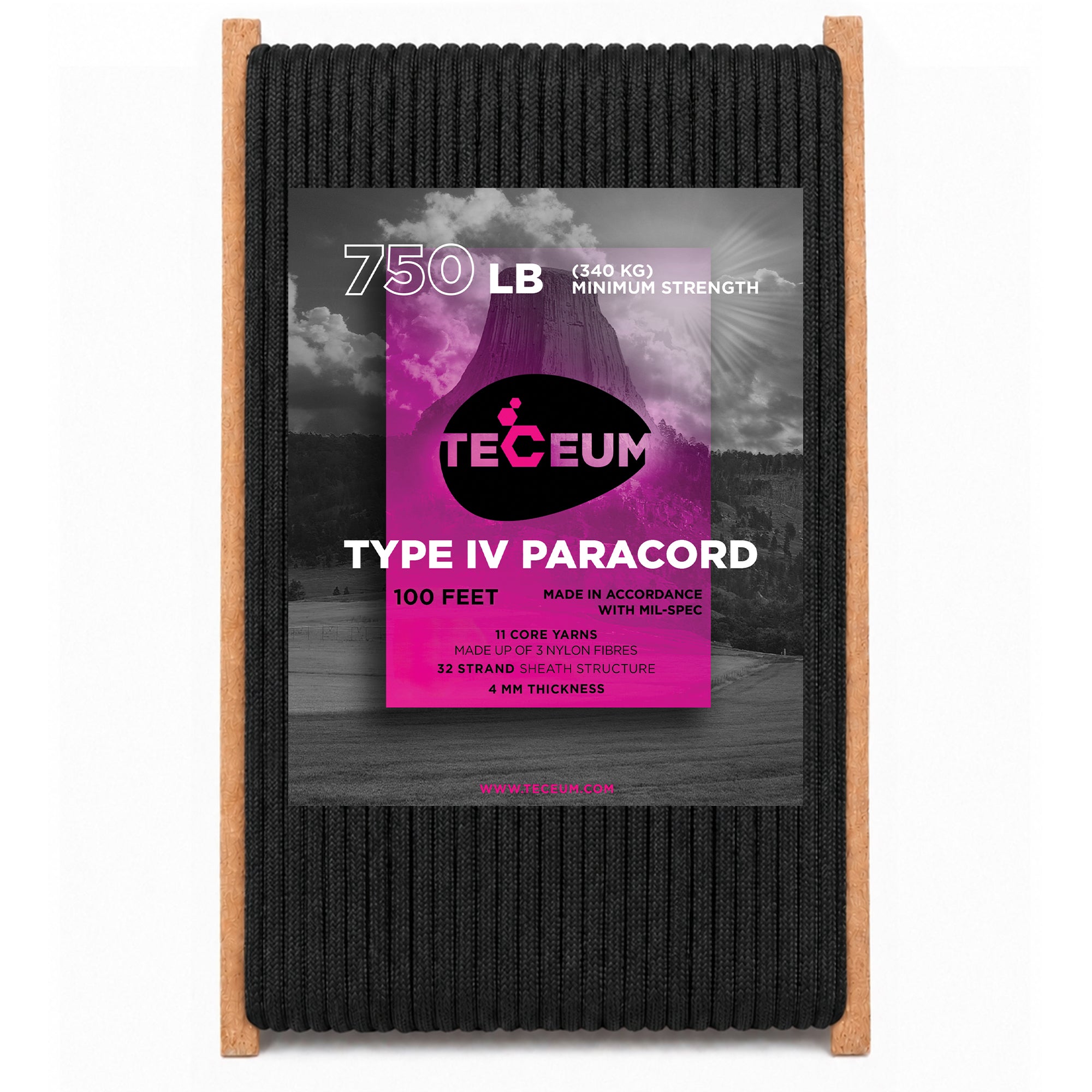 Paracord IV 750 Black – 100 ft - image 1