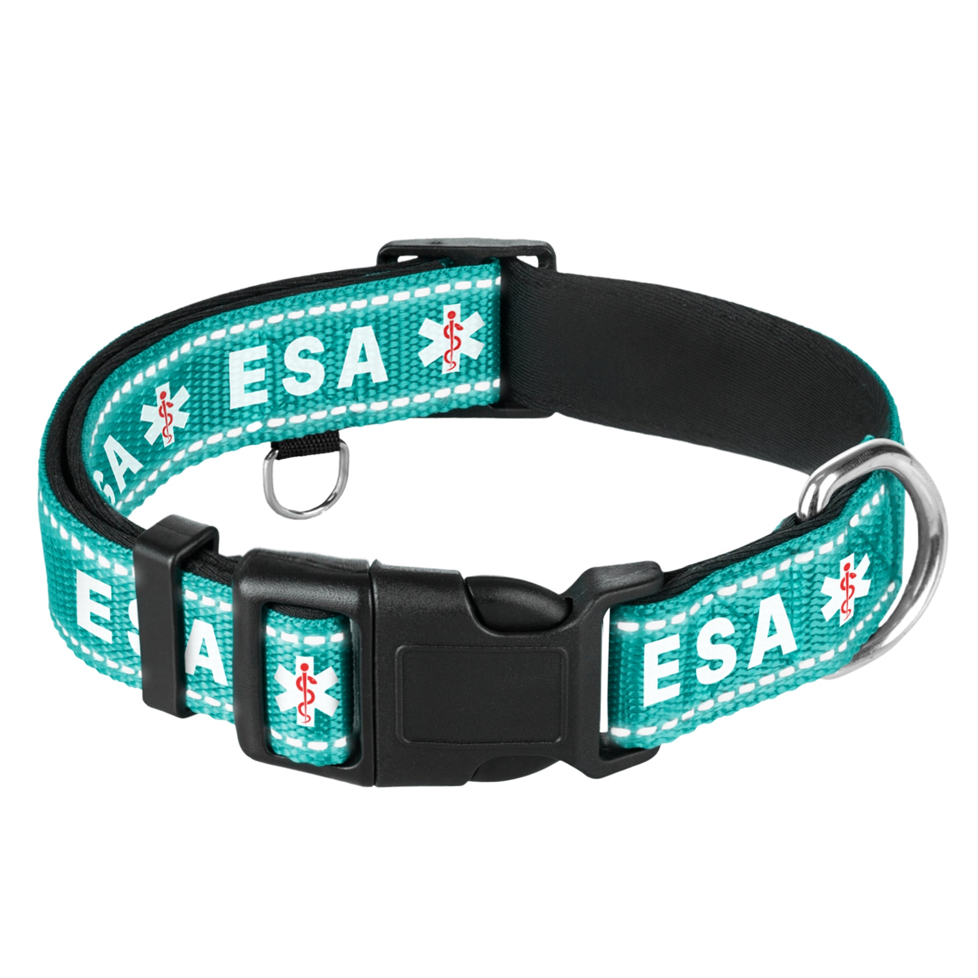 Reflective Dog Collar - 3/4" - S - Teal - ESA - image 1