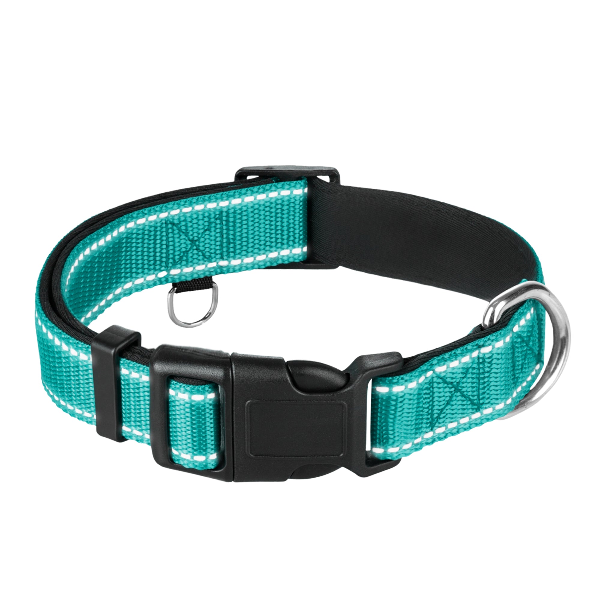 Reflective Dog Collar - 3/8" - XXS - Teal - image 1