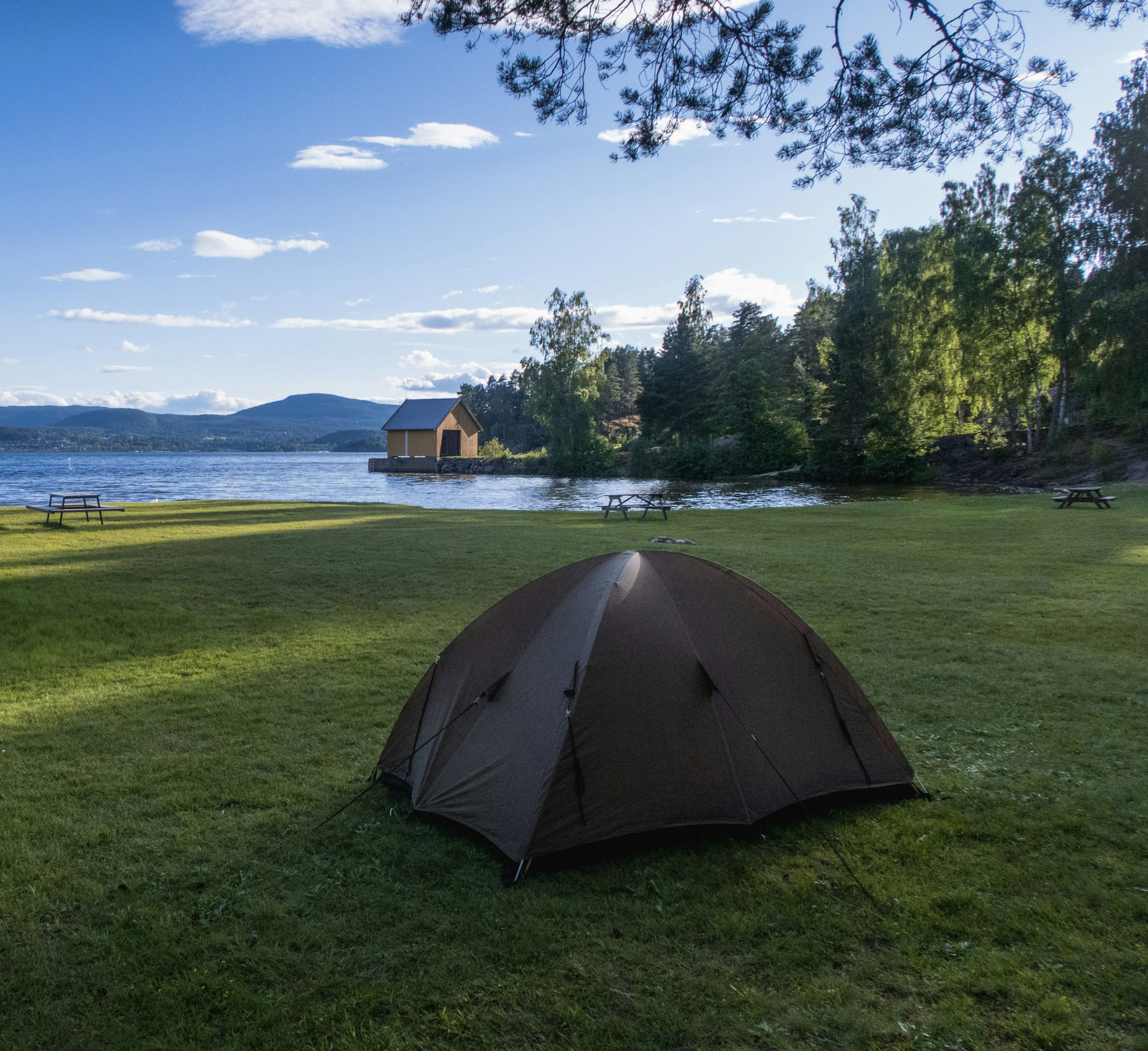 TECEUM branded lifestyle visual for outdoor, training, pets, and projects